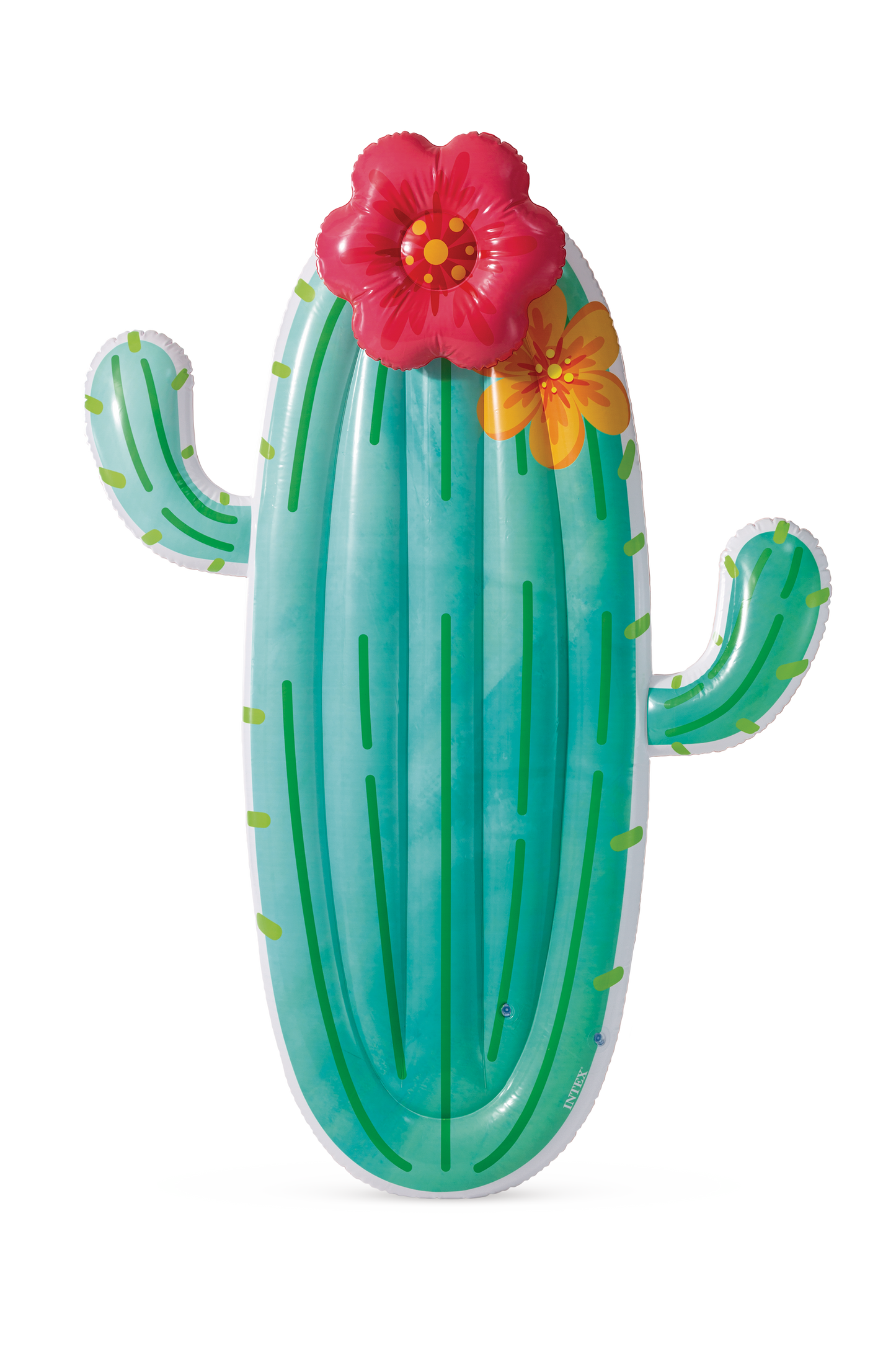 POOL TOY CACTUS FLOAT
